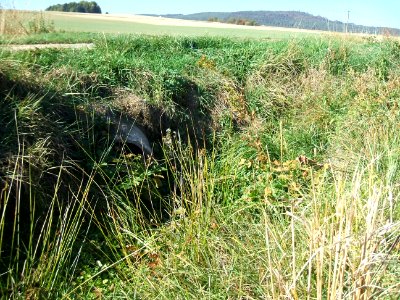Fauerbach Riedgraben Zusammenführen beider Äste