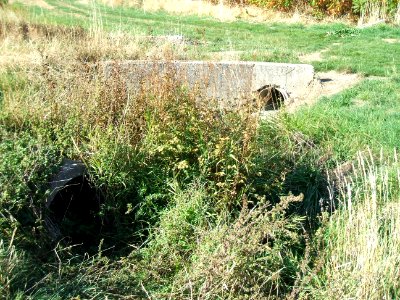 Fauerbach Riedgraben Einlässe erste Brücke