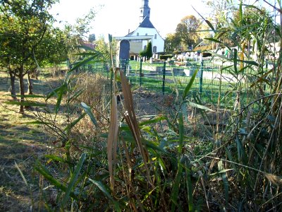 Fauerbach Münster Graben Fauerbacher Weg vom Friedhof 7