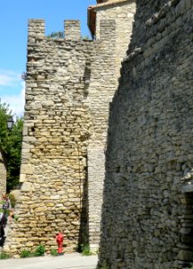 Faucon Murailles 4