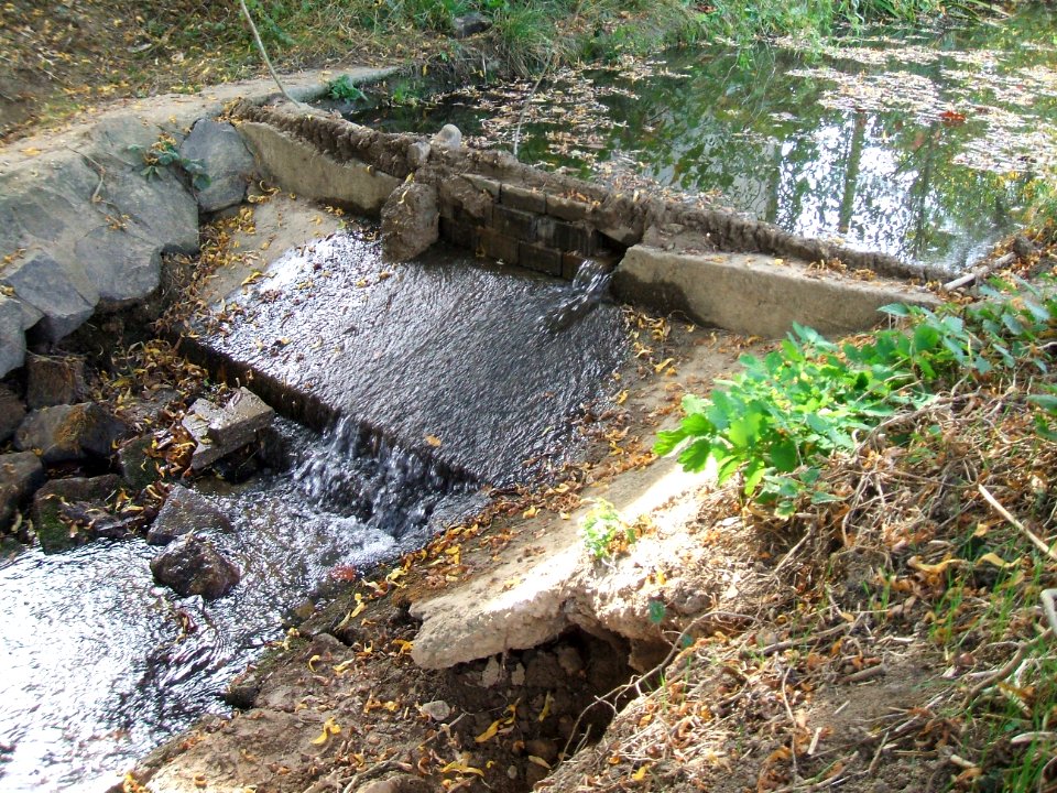 Fauerbach Wehr oberhalb Fauerbach 2
