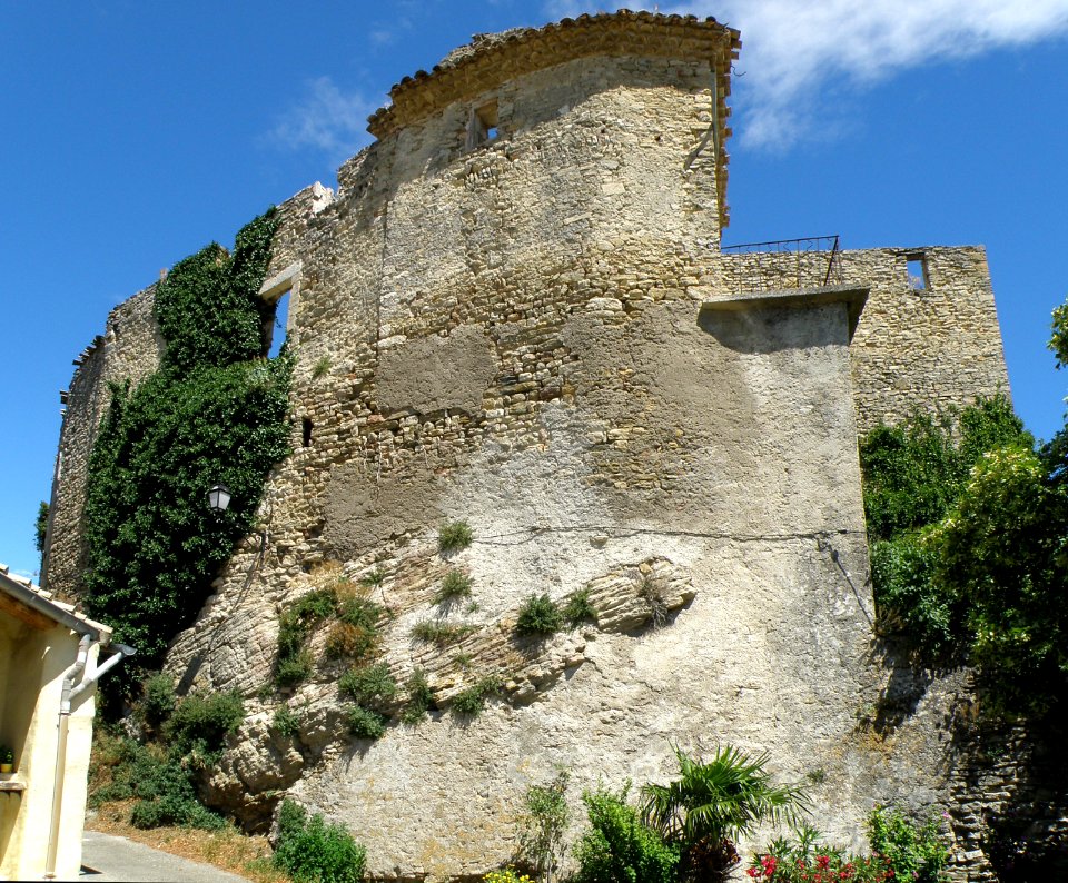 Faucon Murailles 3