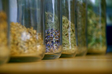 Herbal plant medicine