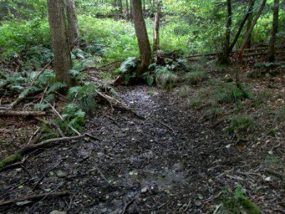 Fauerbach rechter Zulauf Quelle R0010105