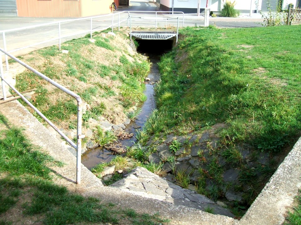 Fauerbach Ankunft in Fauerbach 4
