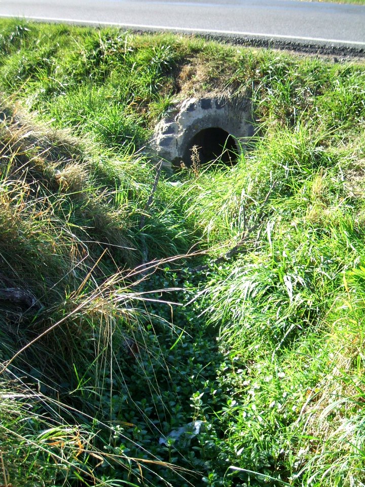 Fauerbach Riedgraben oberer Ast Auslass westlicher Straßengraben