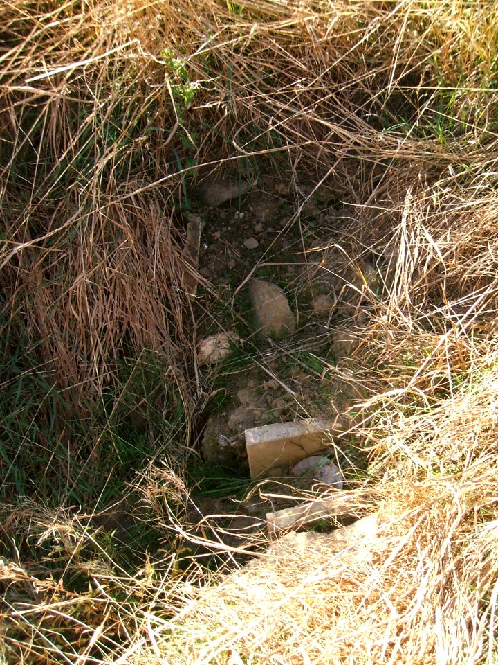 Fauerbach Riedgraben unterer Ast Quelle 5