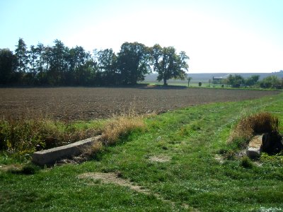 Fauerbach Riedgraben Blick alte Brücke Fauerbach