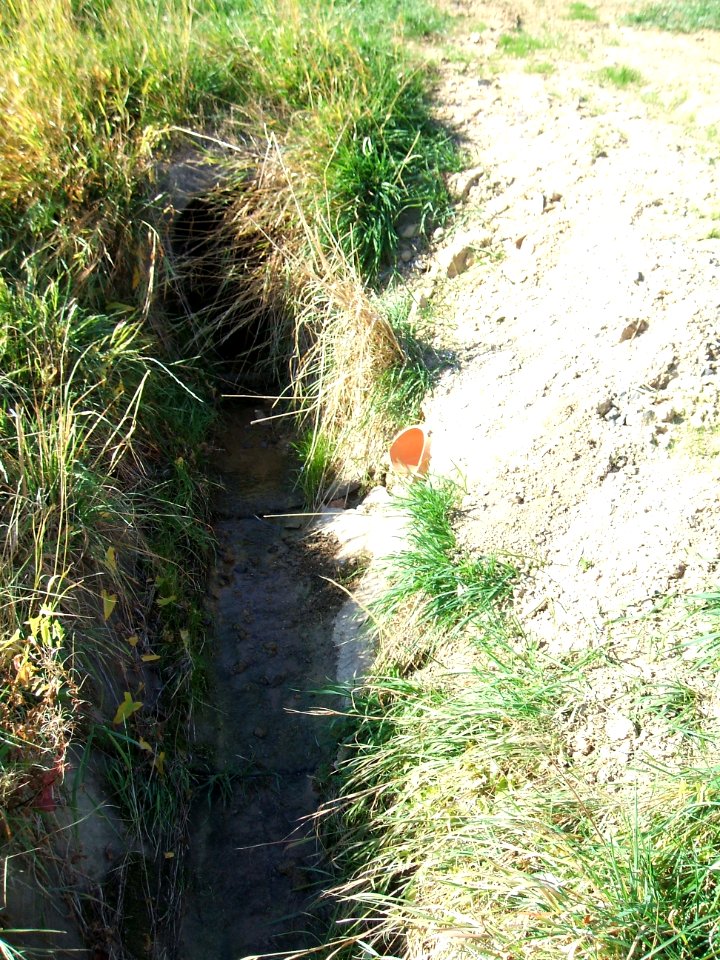 Fauerbach Riedgraben Auslass bei Hof nach Verrohrung