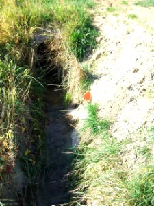 Fauerbach Riedgraben Auslass bei Hof nach Verrohrung