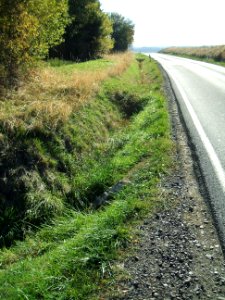 Fauerbach Riedgraben oberer Ast östlicher Straßengraben