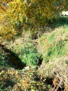Fauerbach Einmündung Riedgraben