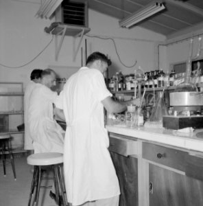 Fabriek voor kunstmest Plantex bij Haifa, laboratorium. Laboranten bezig met con, Bestanddeelnr 255-4393
