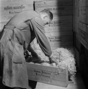 Fabricage van paaseieren, Bestanddeelnr 902-0734