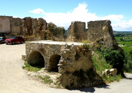 Faucon Murailles 1