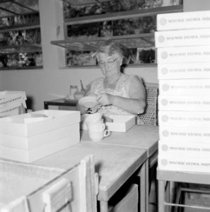 Fabriek voor kunststoffen te Mishmar Ha'emek Arbeidster bezig met het inpakken , Bestanddeelnr 255-4413