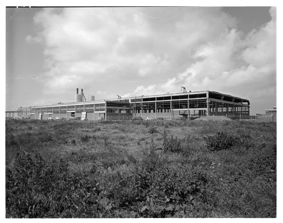 Fabriek Dura-Coignet Rotterdam 1960