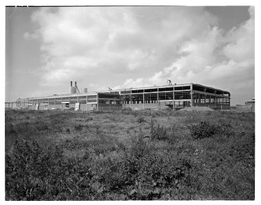 Fabriek Dura-Coignet Rotterdam 1960