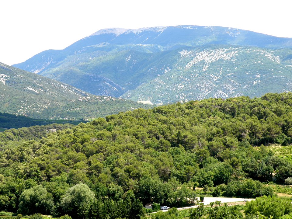 Faucon Mont Ventoux