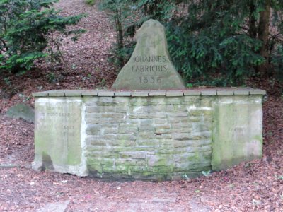 Fabricius-Stein
