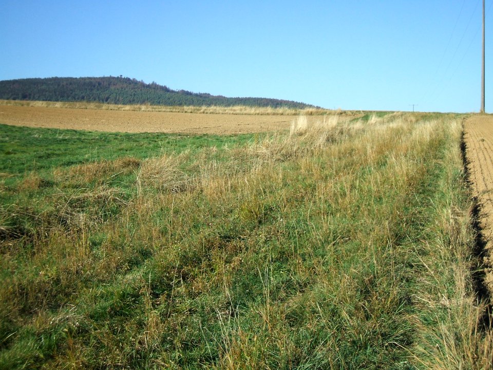 Fauerbach Riedgraben oberer Ast unterhalb 90° mit Hausberg