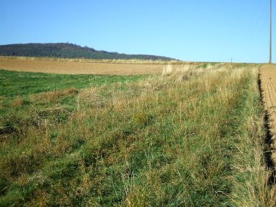 Fauerbach Riedgraben oberer Ast unterhalb 90° mit Hausberg