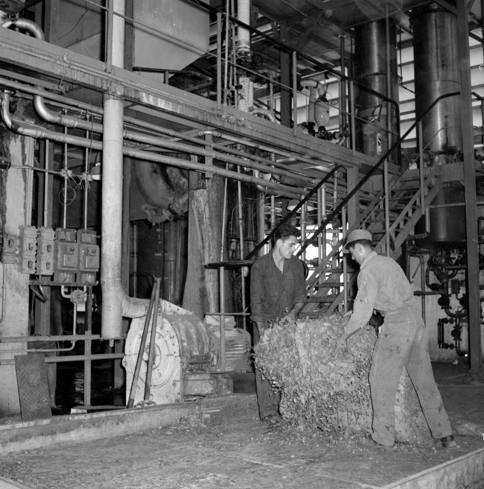 Fabriek voor kunstmest Plantex bij Haifa Arbeiders in de fabriek bij een instal, Bestanddeelnr 255-4398