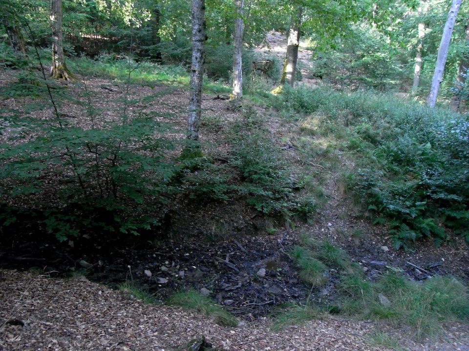Fauerbach rechter Zulauf R0010104