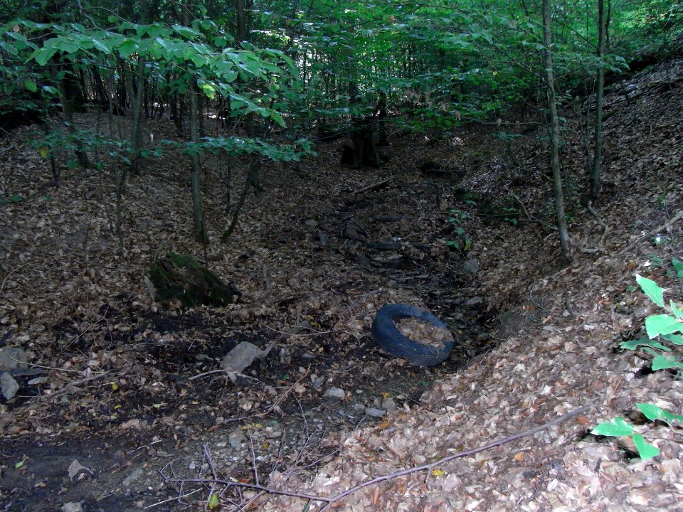 Fauerbach rechter Zulauf R0010095