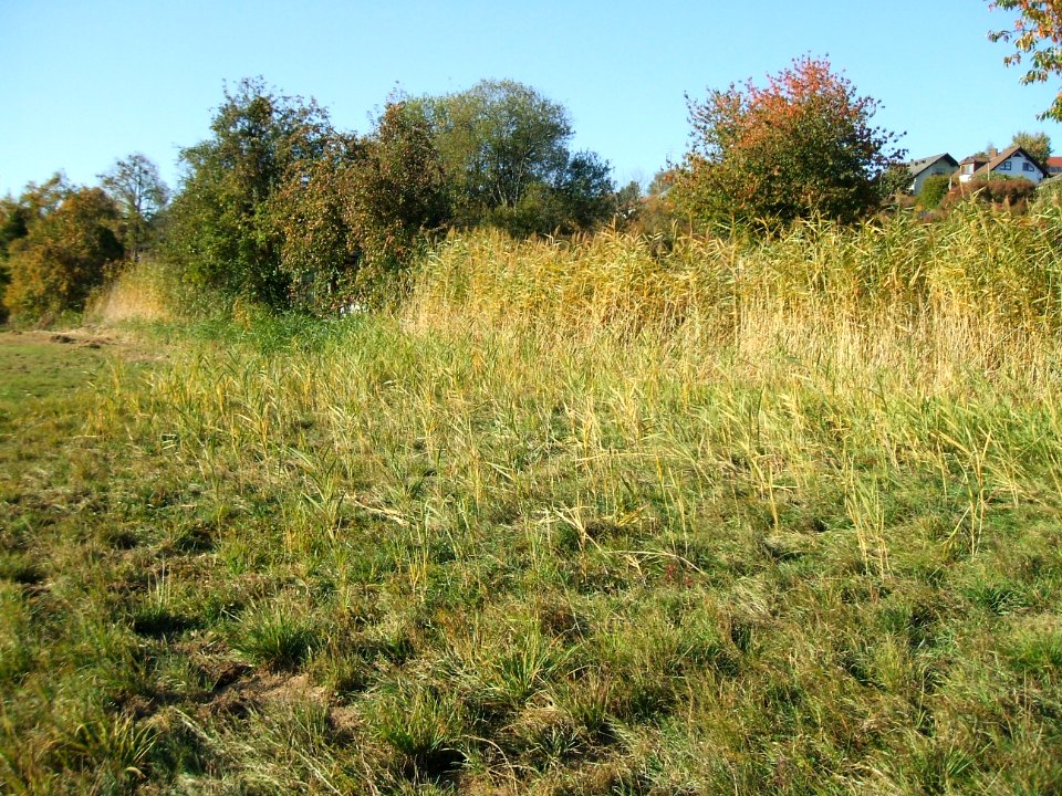 Fauerbach Münster Graben Fauerbacher Weg vom Friedhof Ried 2