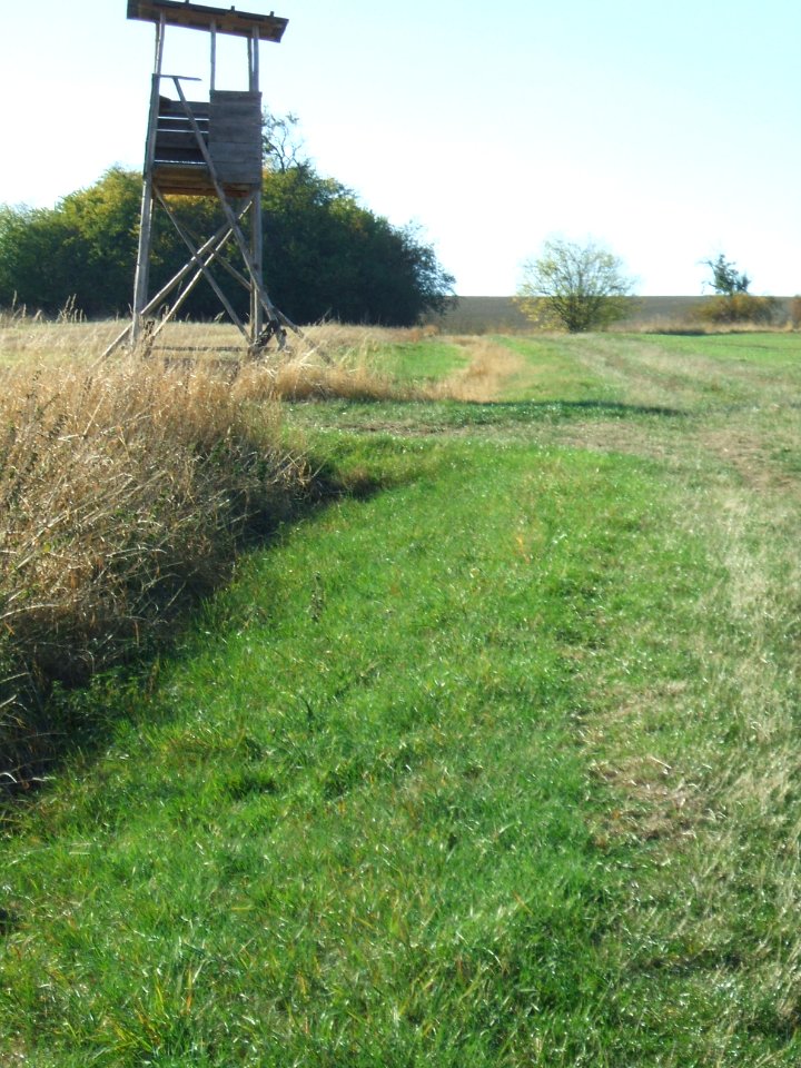 Fauerbach Riedgraben oberer Ast Blick K 15 1
