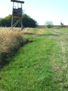 Fauerbach Riedgraben oberer Ast Blick K 15 1