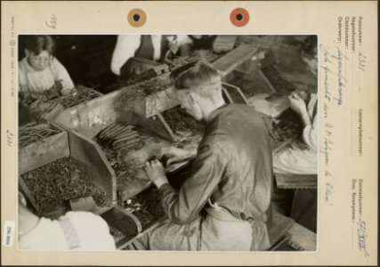 Fabricage van sigaren, Bestanddeelnr 256-3694