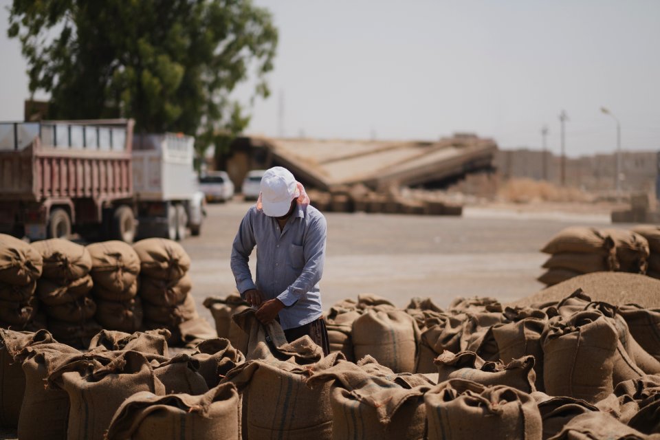 Ezidi workers at the barley and wheat depot in Shingal (Sinjar) packing grains into sacks in summer of 2019 28