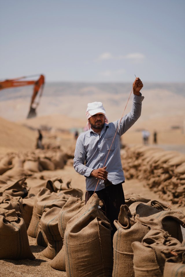 Ezidi workers at the barley and wheat depot in Shingal (Sinjar) packing grains into sacks in summer of 2019 04