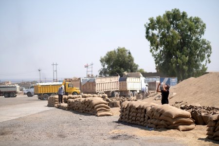 Ezidi workers and administrators packing grain in summer of 2019 at the grain processing center in Shingal 40