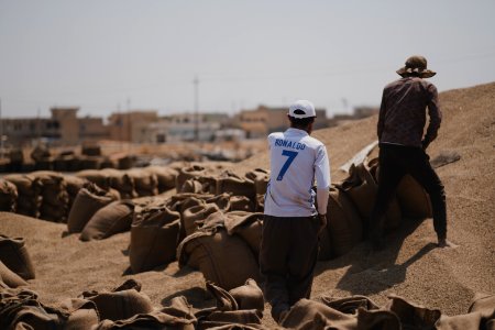 Ezidi workers at the barley and wheat depot in Shingal (Sinjar) packing grains into sacks in summer of 2019 14