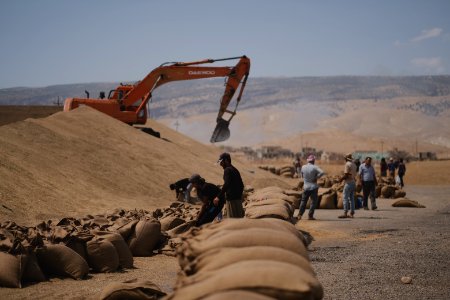 Ezidi workers at the barley and wheat depot in Shingal (Sinjar) packing grains into sacks in summer of 2019 12