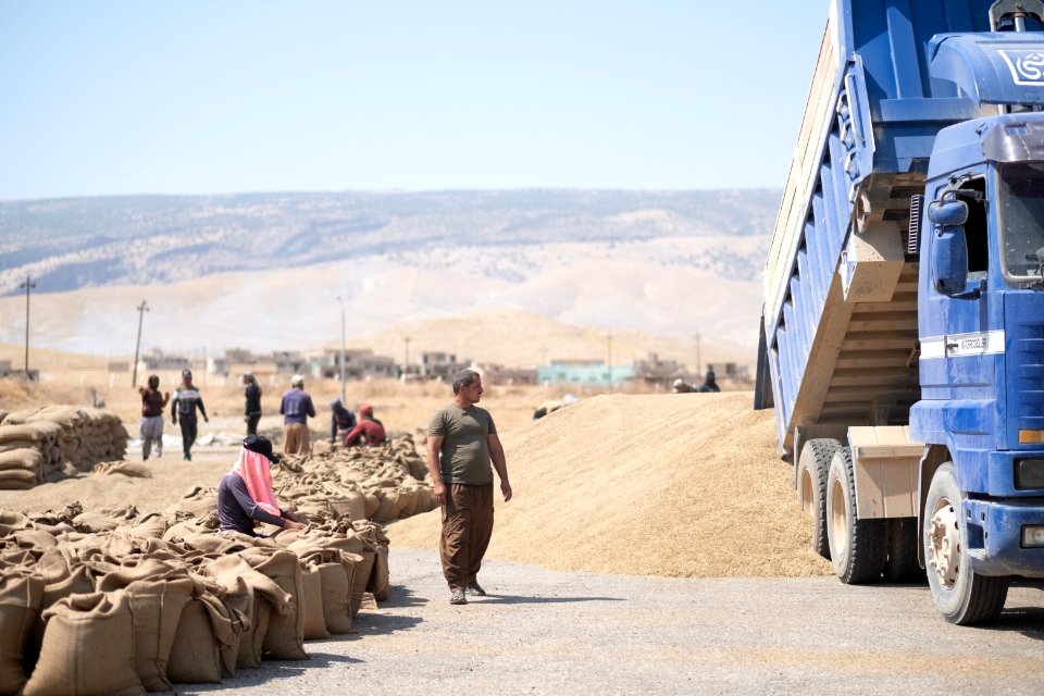 Ezidi workers and administrators packing grain in summer of 2019 at the grain processing center in Shingal 45