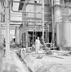 Fabriek voor kunstmest bij Haifa Arbeiders bezig bij de installaties, Bestanddeelnr 255-4378