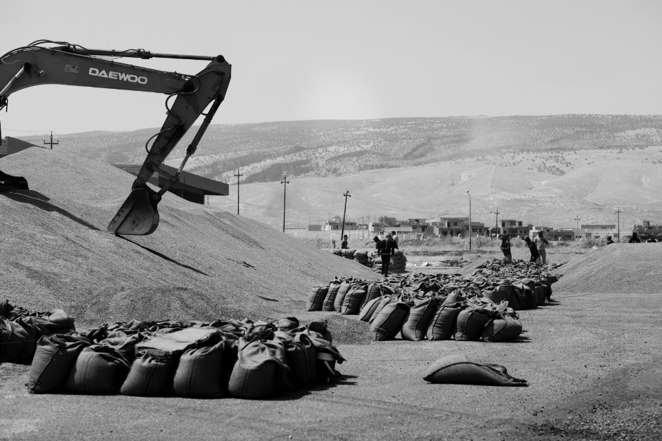 Ezidi workers and administrators packing grain in summer of 2019 at the grain processing center in Shingal 06