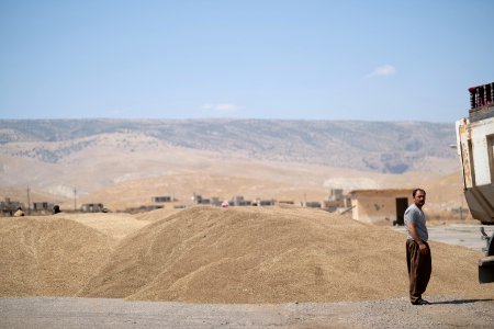 Ezidi workers and administrators packing grain in summer of 2019 at the grain processing center in Shingal 36