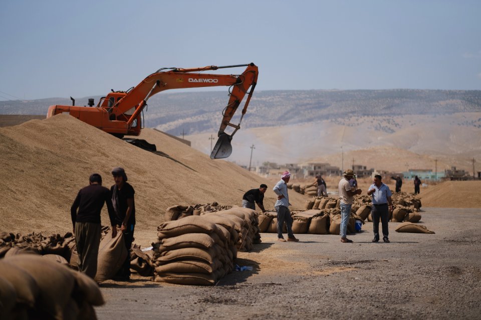 Ezidi workers at the barley and wheat depot in Shingal (Sinjar) packing grains into sacks in summer of 2019 13
