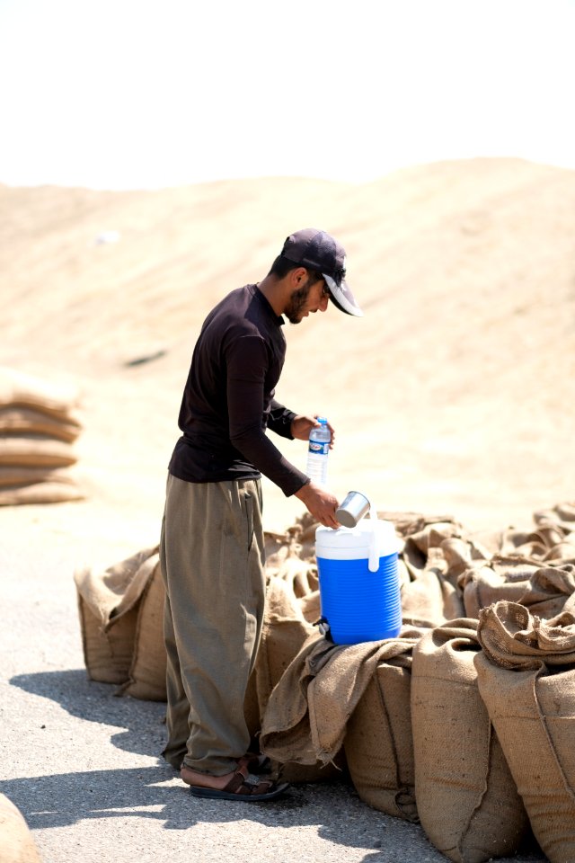 Ezidi workers and administrators packing grain in summer of 2019 at the grain processing center in Shingal 43