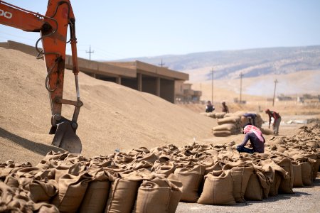 Ezidi workers and administrators packing grain in summer of 2019 at the grain processing center in Shingal 38