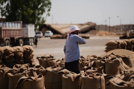 Ezidi workers at the barley and wheat depot in Shingal (Sinjar) packing grains into sacks in summer of 2019 19