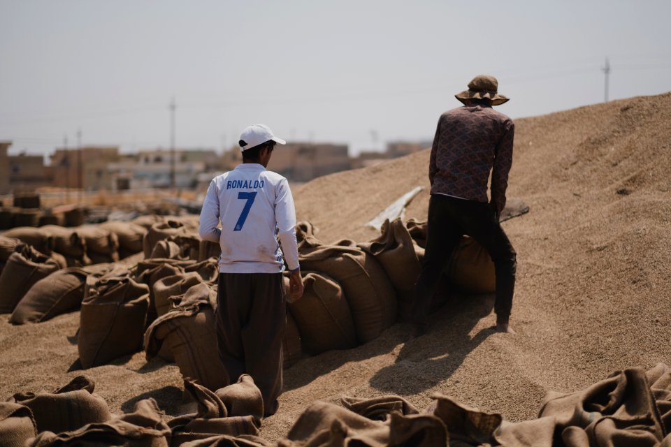 Ezidi workers at the barley and wheat depot in Shingal (Sinjar) packing grains into sacks in summer of 2019 15