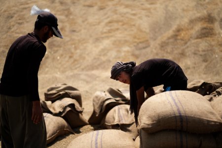 Ezidi workers and administrators packing grain in summer of 2019 at the grain processing center in Shingal 08