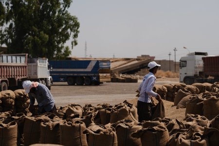 Ezidi workers and administrators packing grain in summer of 2019 at the grain processing center in Shingal 02