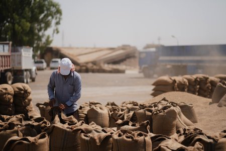 Ezidi workers at the barley and wheat depot in Shingal (Sinjar) packing grains into sacks in summer of 2019 29